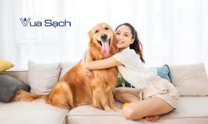 05-cach-tay-vet-ri-set-tren-ghe-sofa-6