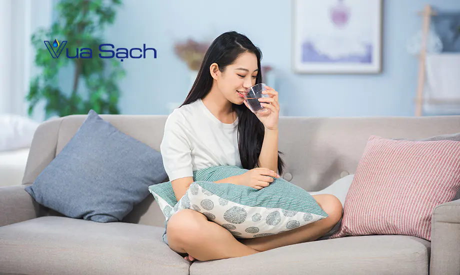 danh-bay-moi-vet-ban-tren-ghe-sofa-vai-5
