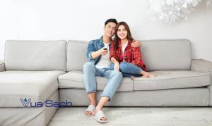 cac-loai-dung-dich-ve-sinh-ghe-sofa-vai-5