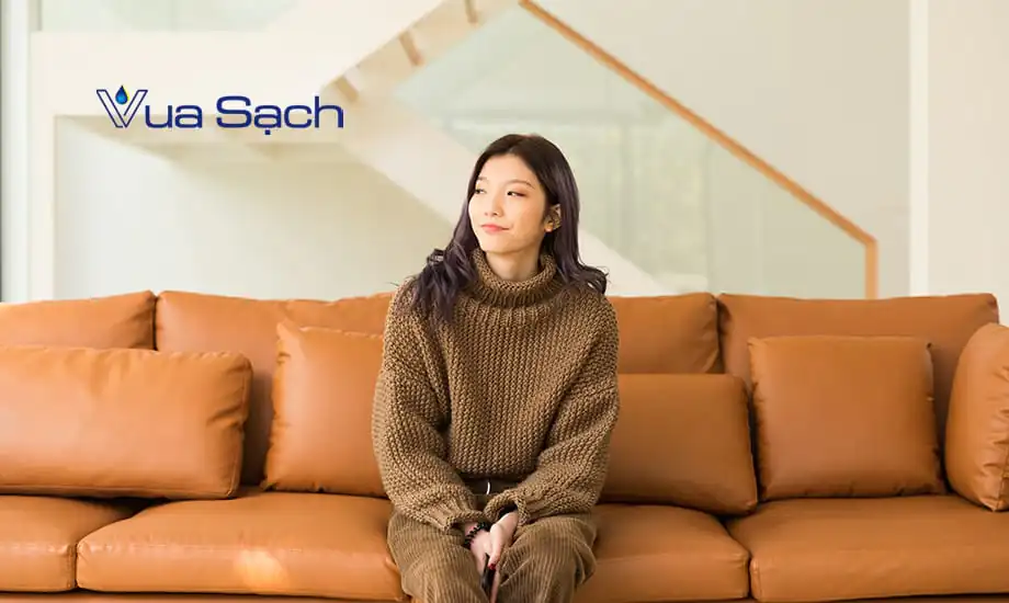 cach-giat-nem-ghe-sofa-nhanh-chong-va-hieu-qua-6