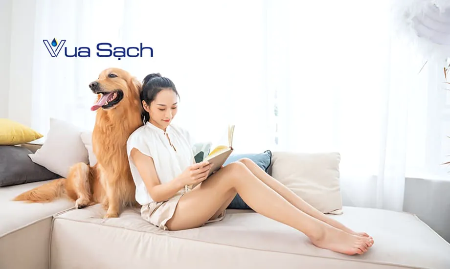 giat-ghe-sofa-bang-baking-soda-theo-cach-moi-4