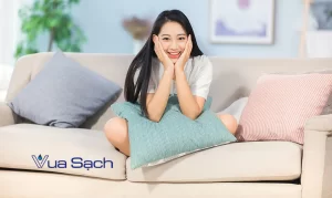 tai-sao-can-giat-ghe-sofa-dinh-ky-5