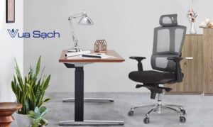 cach-giat-ghe-van-phong-bi-nam-moc-sach-nhanh-hieu-qua-03